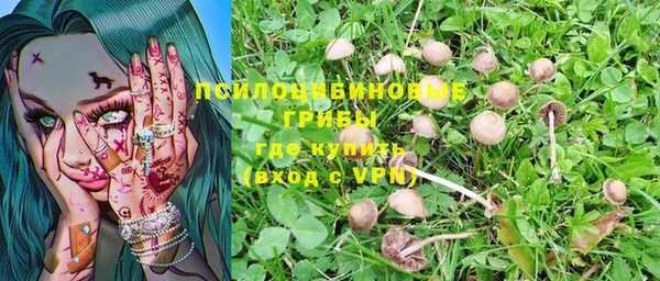 стафф Абдулино
