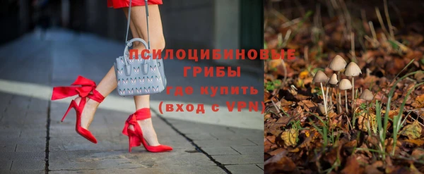 прущий лед Алексеевка
