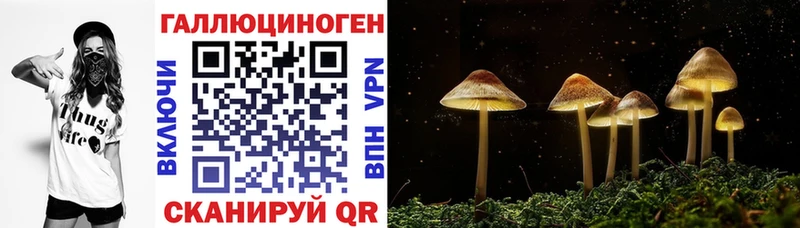 Псилоцибиновые грибы Psilocybine cubensis  MEGA ССЫЛКА  Рязань 